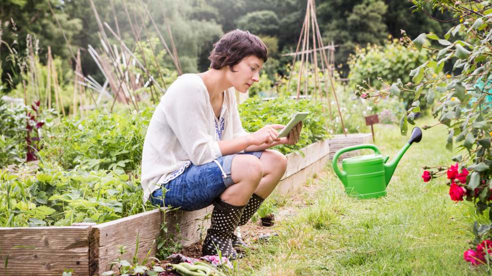 woman using tablet in allotment